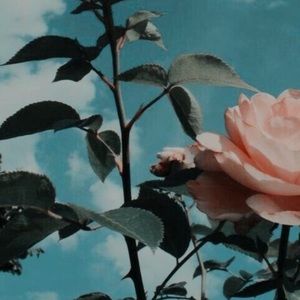 Meet your Posher, Kern